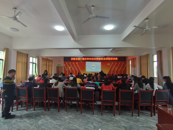 蜂蜜浏览器_图片1