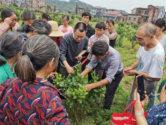 蜂蜜浏览器_图片2