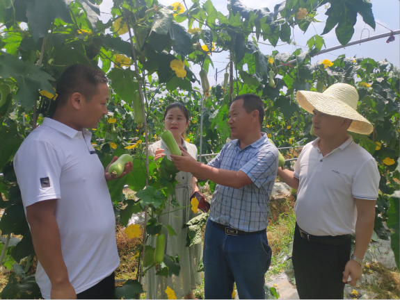 蜂蜜浏览器_图片5