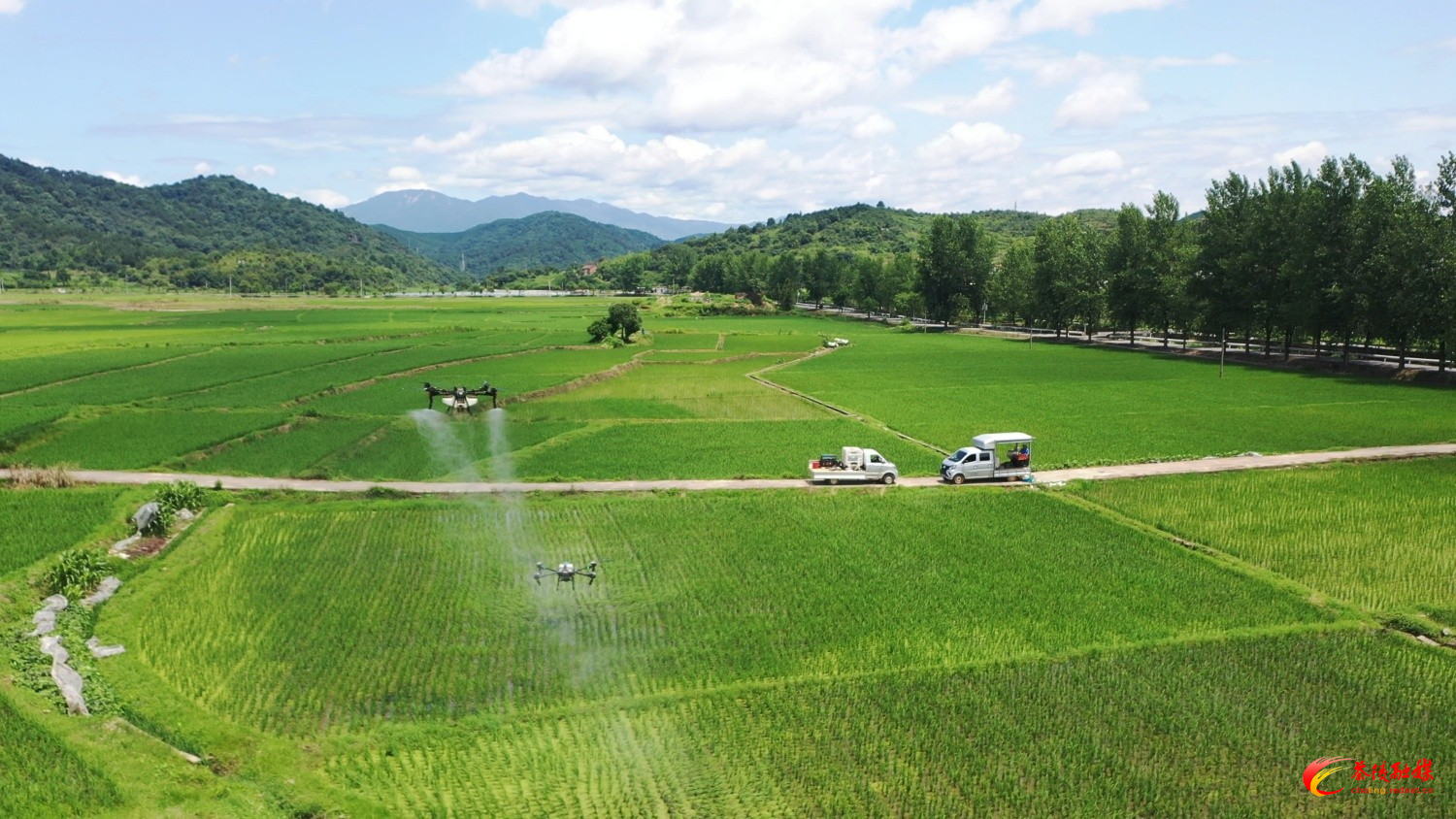 雩安农业科技赋能水稻生产全程机械化